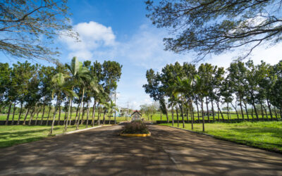 Lot for Sale in Sagay: Hillsdale’s Vibrant Gated Community Awaits You