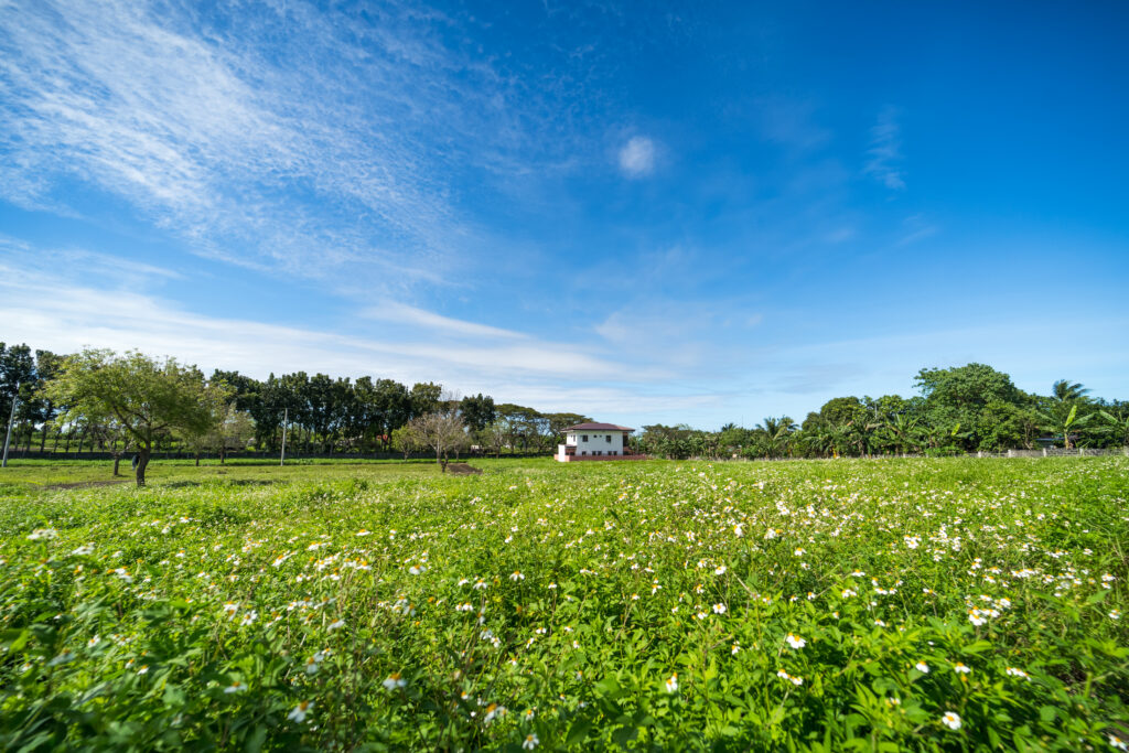 Generous open spaces in Hillsdale