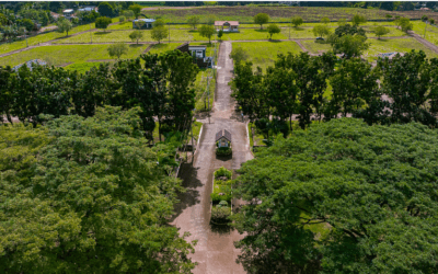 Enjoy life’s simple pleasures at Hillsdale in Sagay